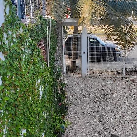 Departamento Centrico Con Estacionamiento Lägenhet Felipe Carrillo Puerto Exteriör bild